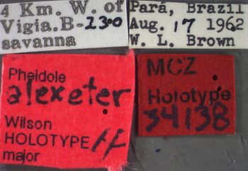 Media type: image;   Entomology 34138 Aspect: labels